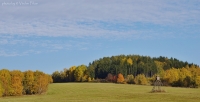 louky a pastviny v okolí Nežichova